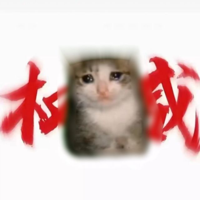 Cat-致安团队